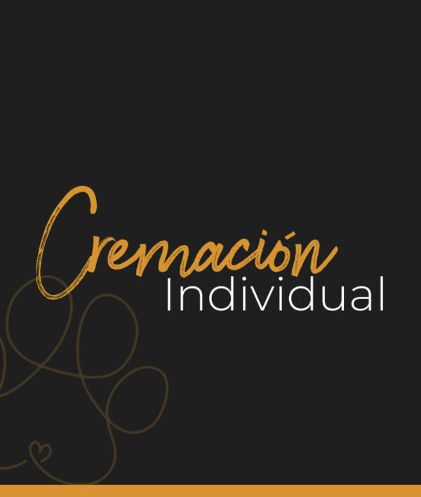Friendara Funeraria y Crematorio para Mascotas | Cremación Individual