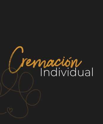 Friendara Cremación Individual Tijuana