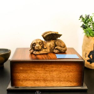 Friendara Funeraria y Crematorio para Mascotas | Urna Perro